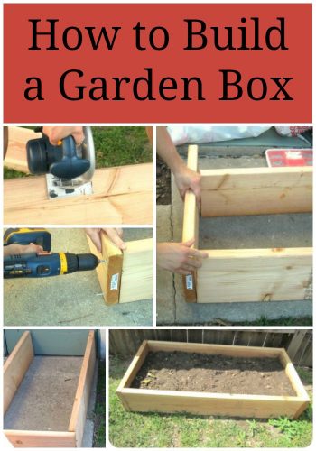 How to Build a Garden Box That is Perfect for Square Foot Gardens