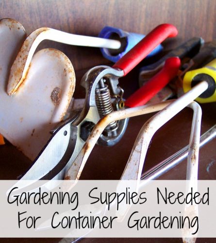 8 Gardening Supplies Needed For Container Gardening