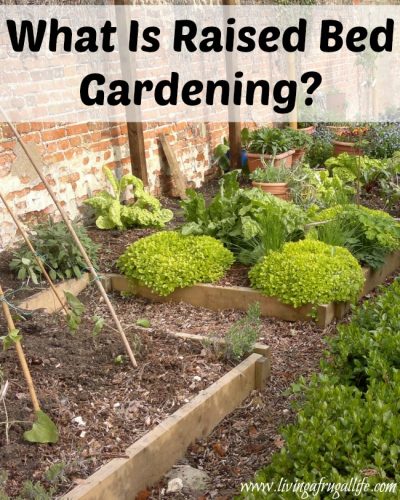 What Is Raised Bed Gardening?