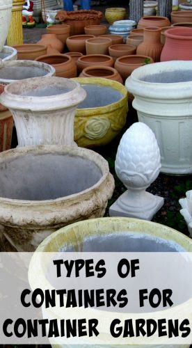 Types of Containers For Container Gardening Vegetables