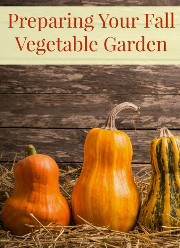 Gardening Tips To Help Prepare Your Fall Vegetable Garden