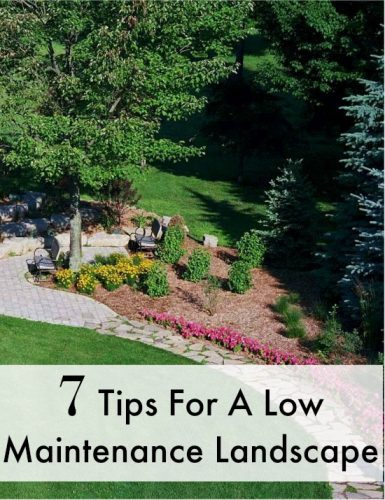 7 Tips For A Low Maintenance Landscape