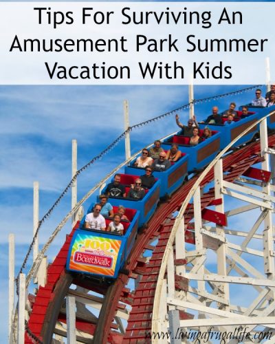 7 Tips For Surviving An Amusement Park Summer Vacation With Kids