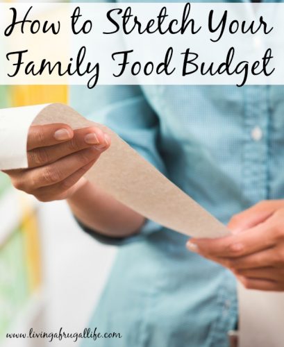 How to Stretch Your Family Food Budget Without Eating Rice And Beans